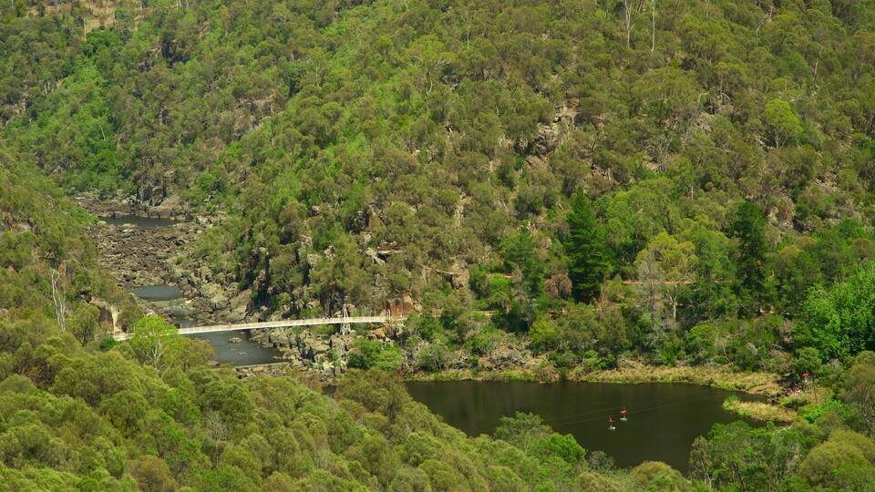 Cataract Gorge