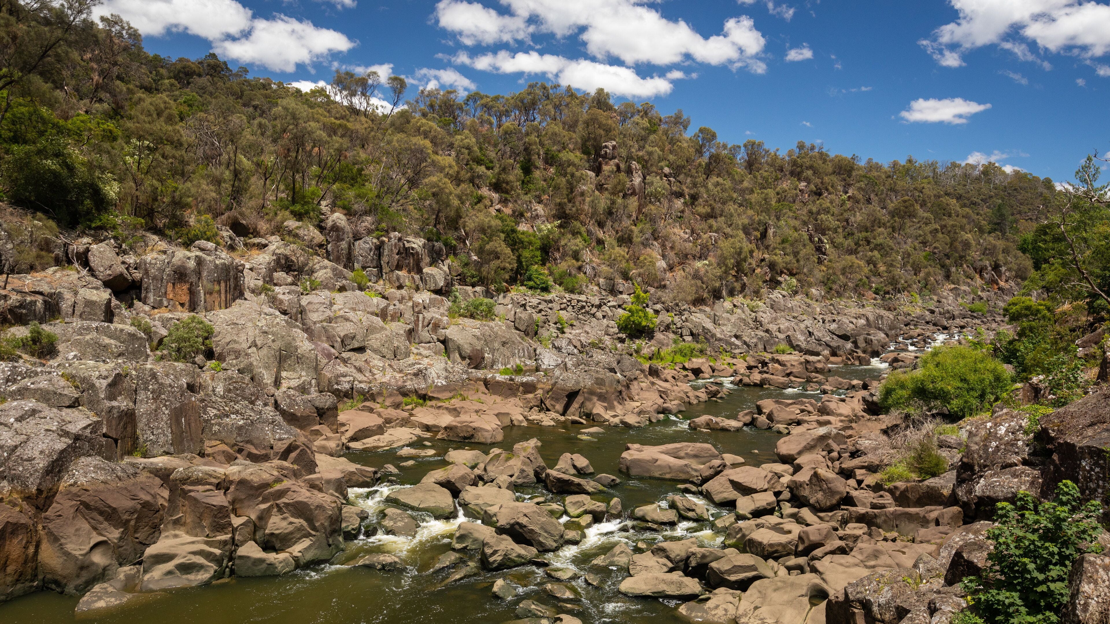 Un lit de rivière rocheux où l’eau coule, entouré d’une forêt dense d’eucalyptus et surplombé d’un ciel bleu clair.
