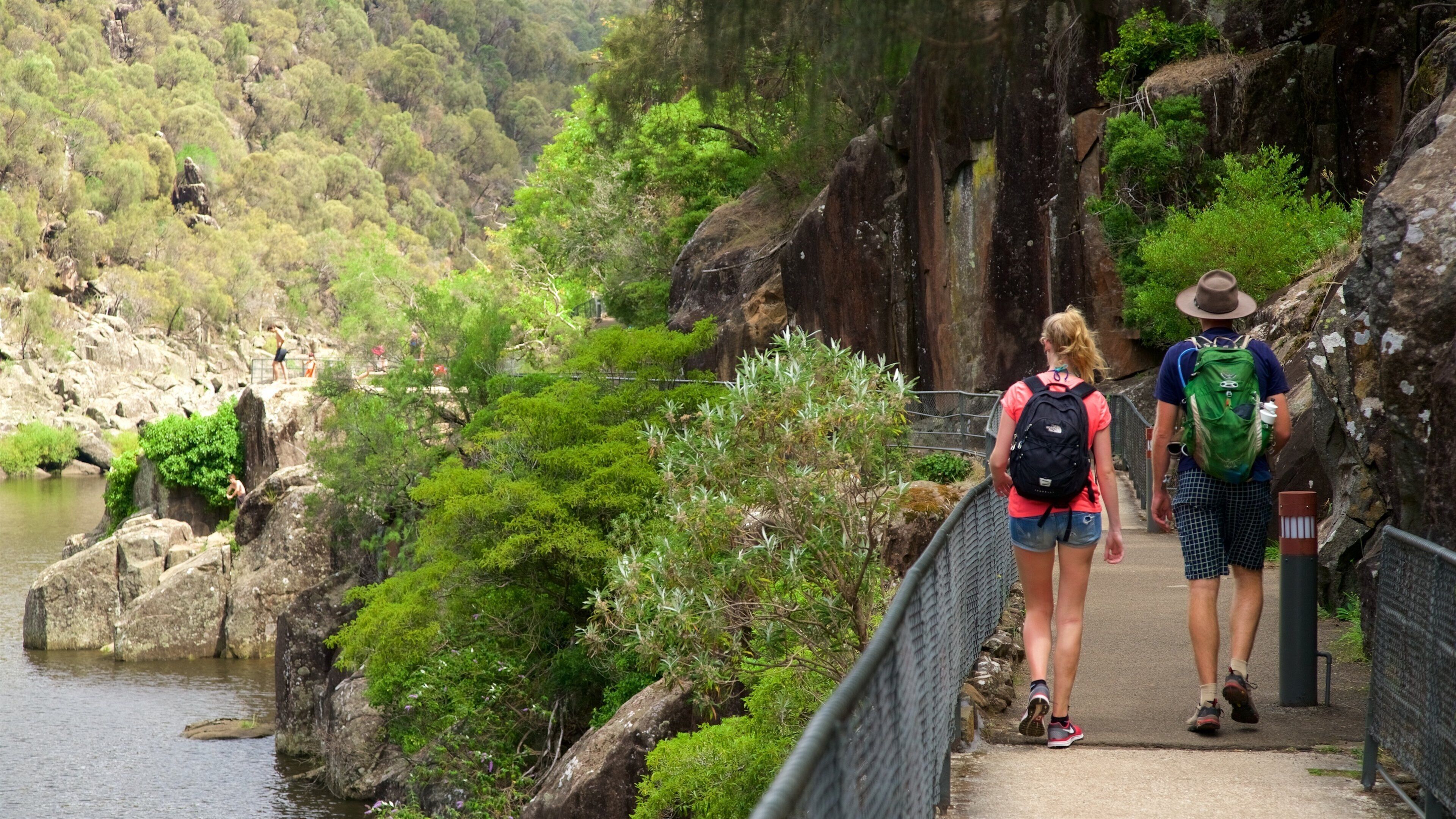 Hẻm núi Cataract có tính năng sông lạch và đi bộ cũng như cặp đôi
