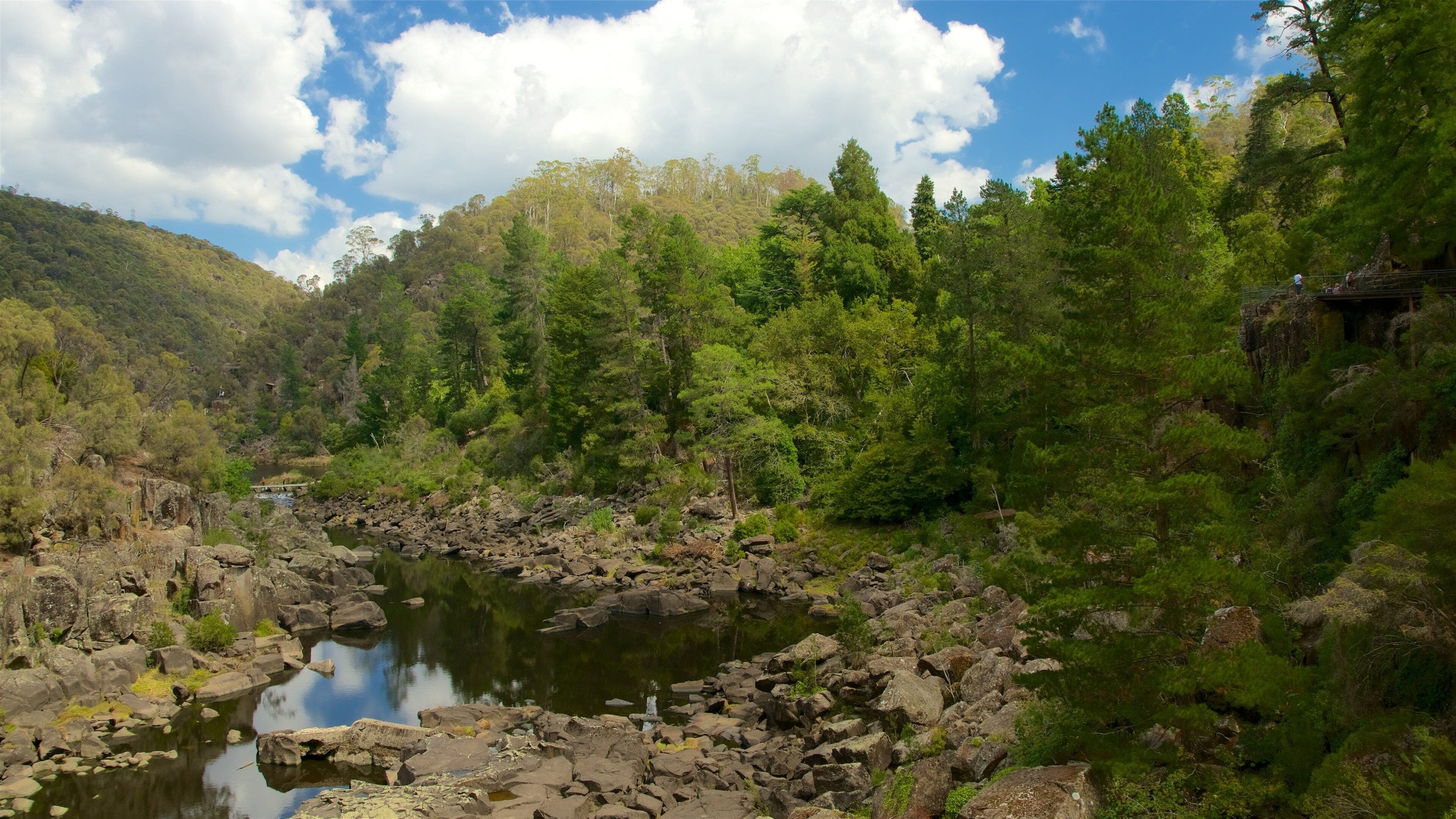 A rocky riverbed surrounded by dense forest and a clear blue sky.