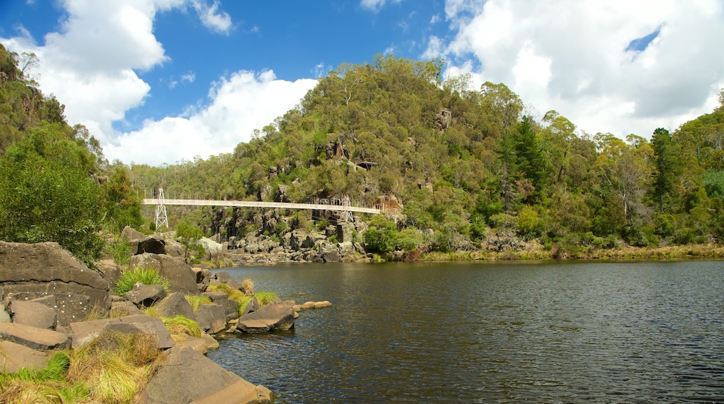 Cataract Gorge og byder på en flod eller et vandløb og en bro