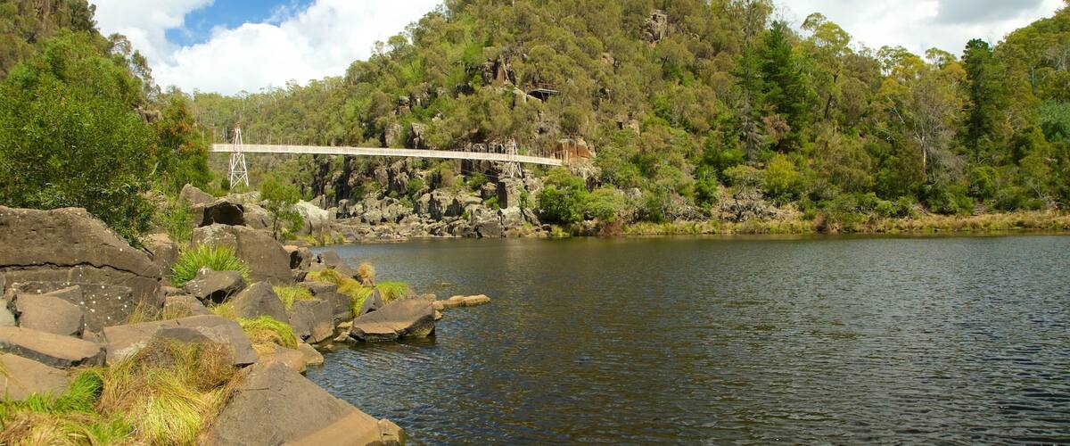 Un pont enjambant une rivière aux rives rocheuses, avec une forêt dense en arrière-plan.