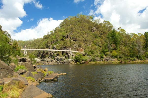 Eine Brücke über einem Fluss mit felsigem Ufer und dichtem Wald im Hintergrund.