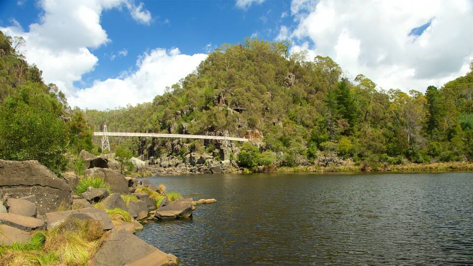 A bridge over a river with rocky shores and dense forest in the background.
