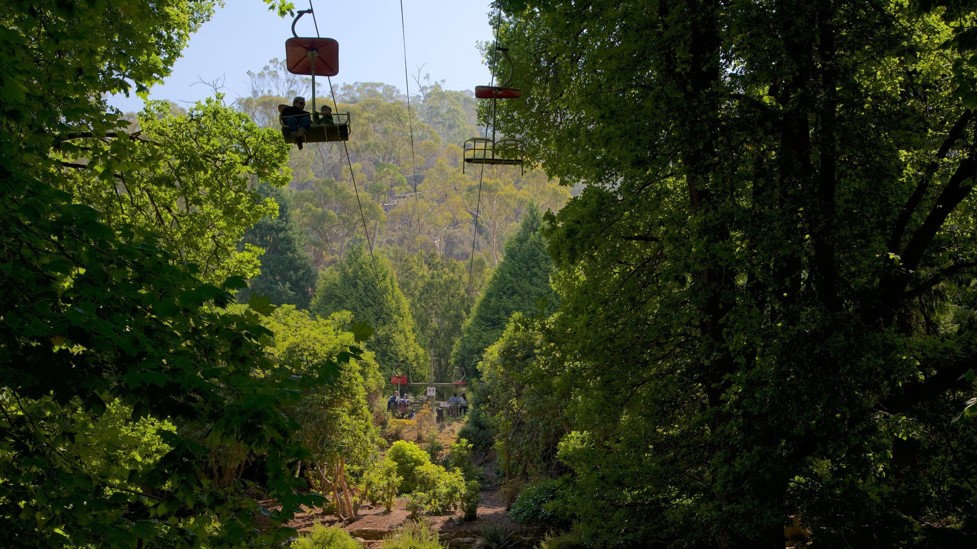A cable car system in a forested area with lush greenery and a clear sky.