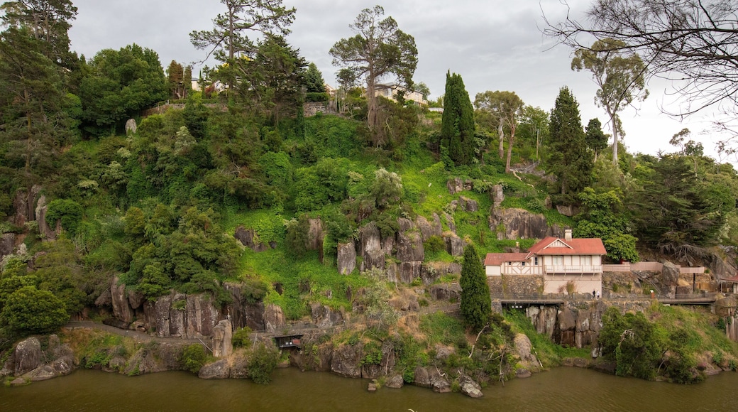 Cataract Gorge featuring a river or creek and rugged coastline