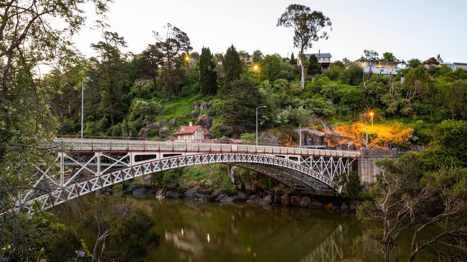 Cataract Gorge showing a bridge and a river or creek