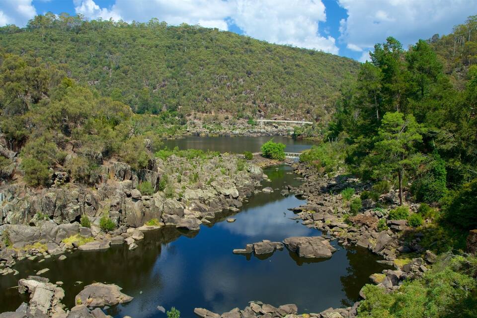 A river with rocky banks, surrounded by dense green forest and a hill in the background.