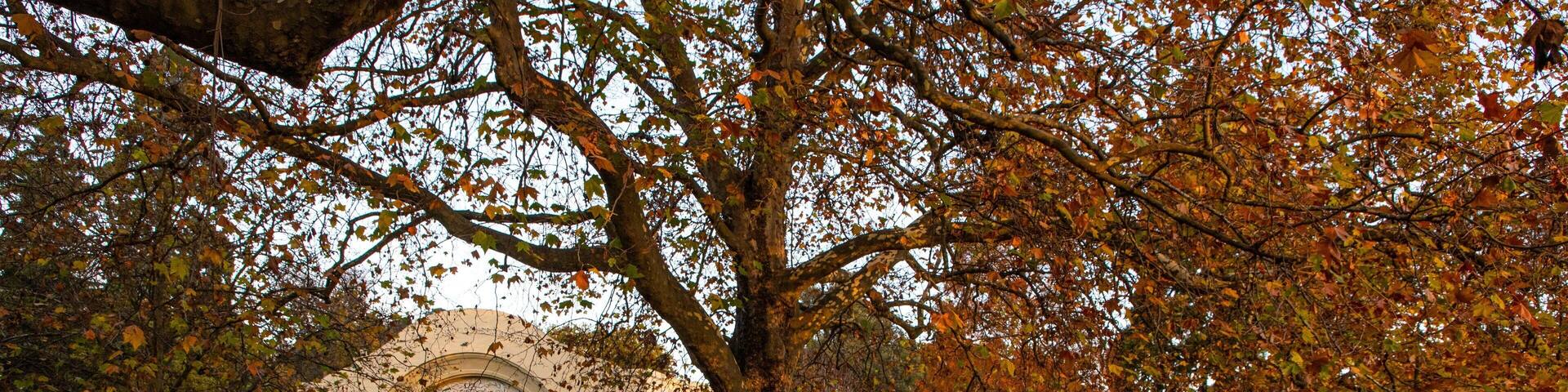City Park featuring autumn leaves and a park