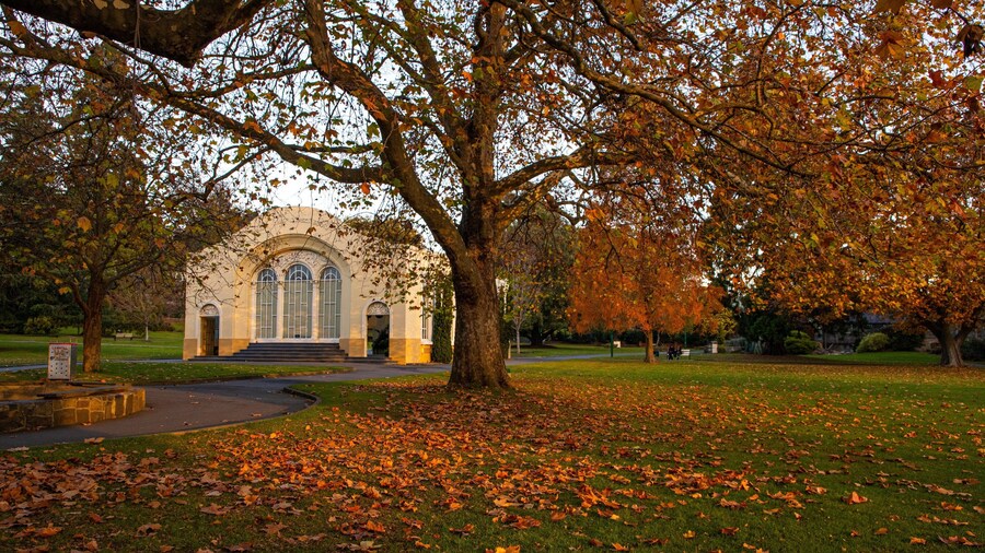 City Park featuring autumn leaves and a park