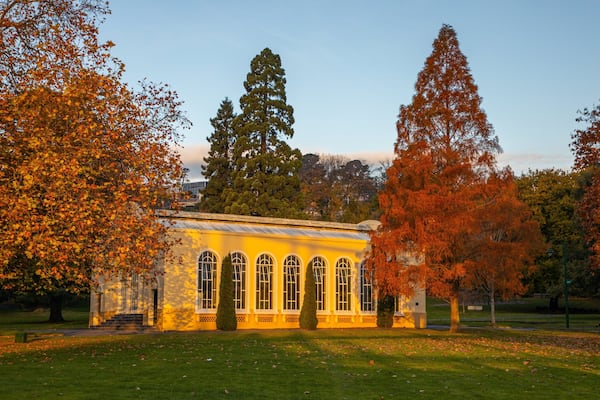 City Park featuring fall colors and a garden