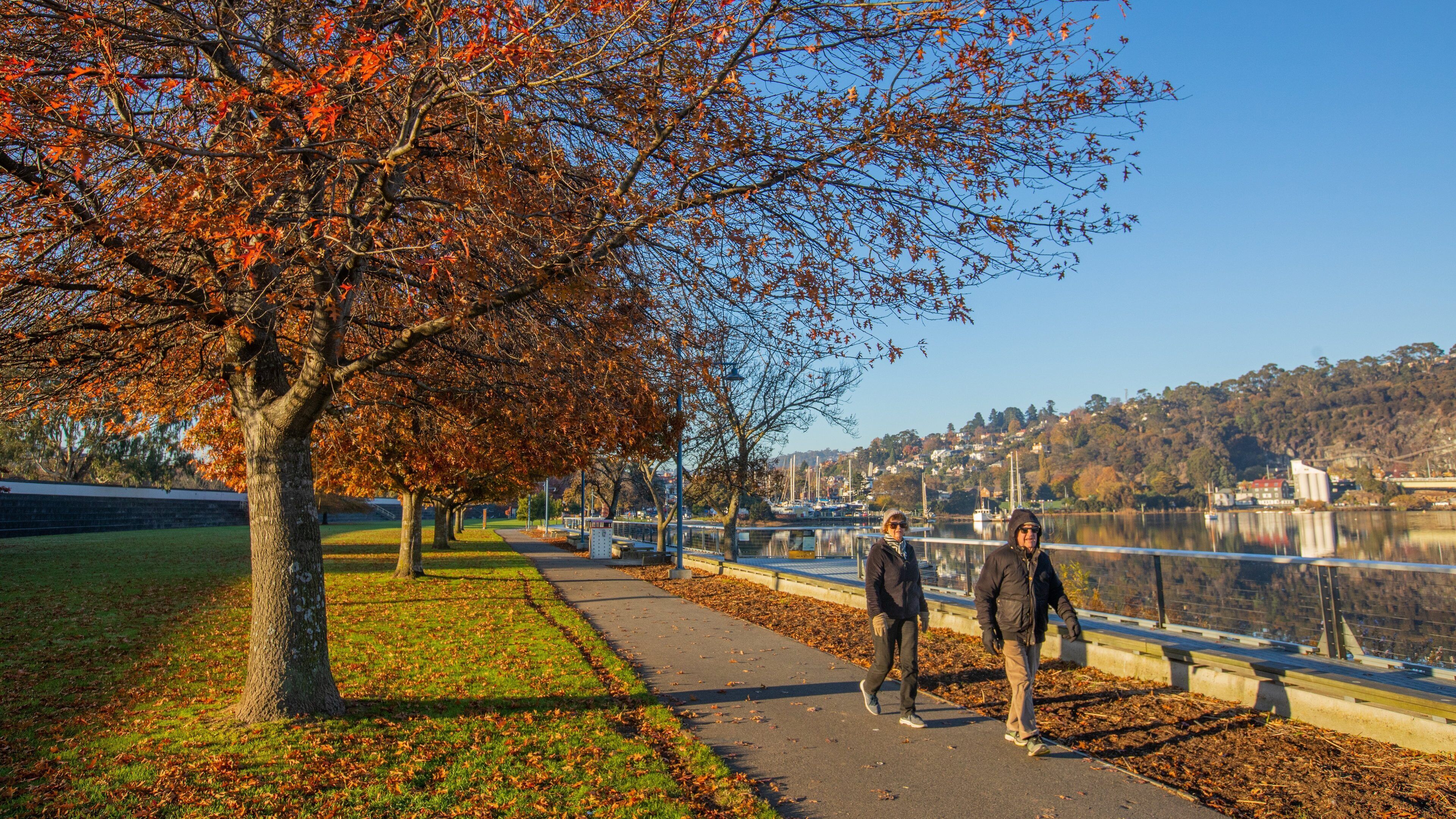 Royal Park which includes a park and autumn leaves as well as a couple