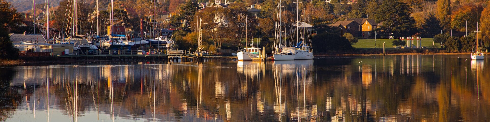 Royal Park showing a bay or harbor