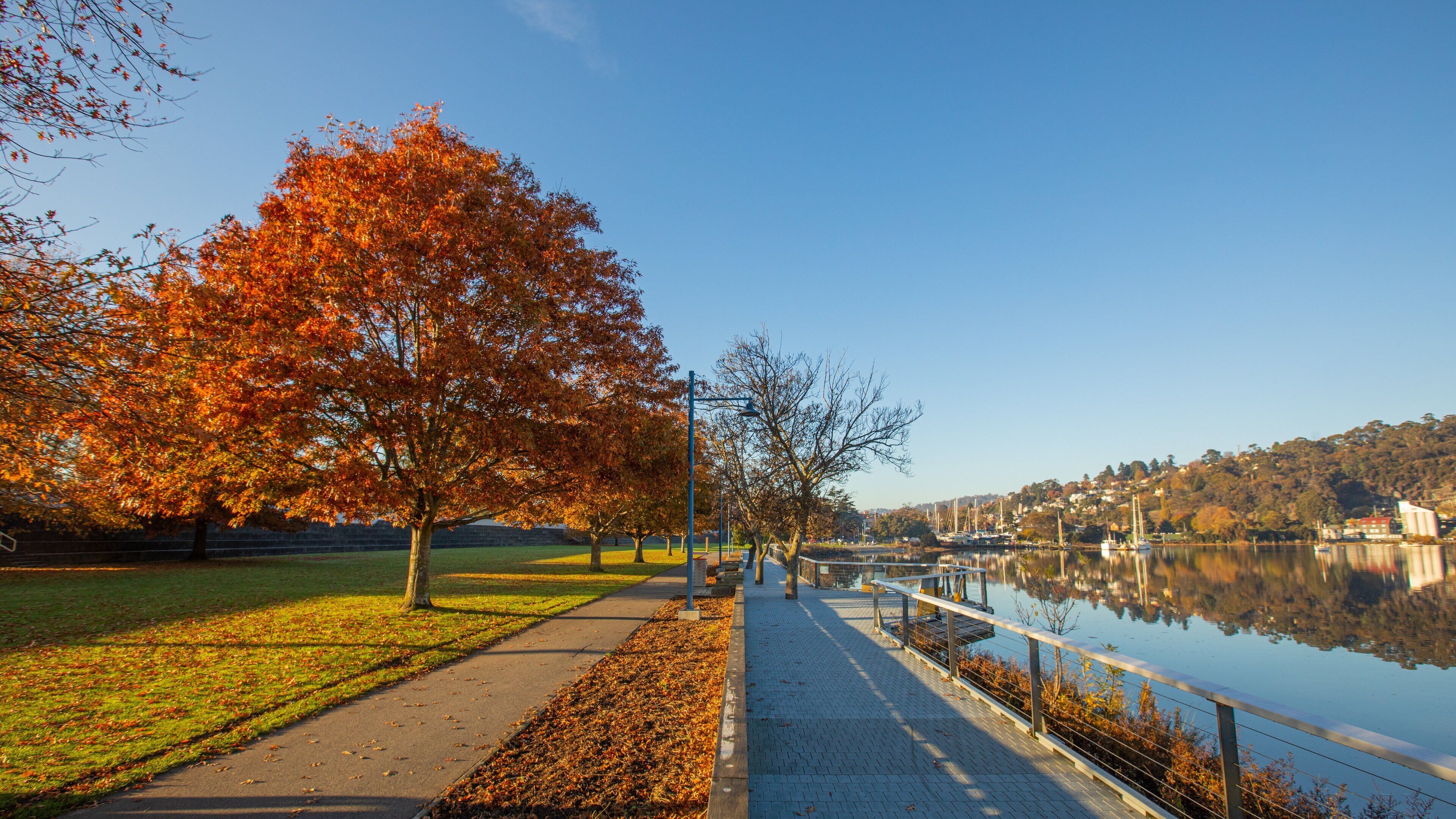 Royal Park which includes autumn leaves and a park