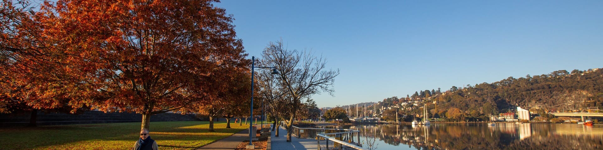 Royal Park showing a park and fall colors as well as an individual male