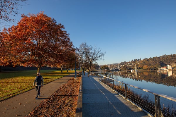 Royal Park showing a park and fall colors as well as an individual male