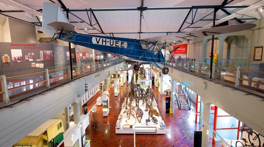 Queen Victoria Museum