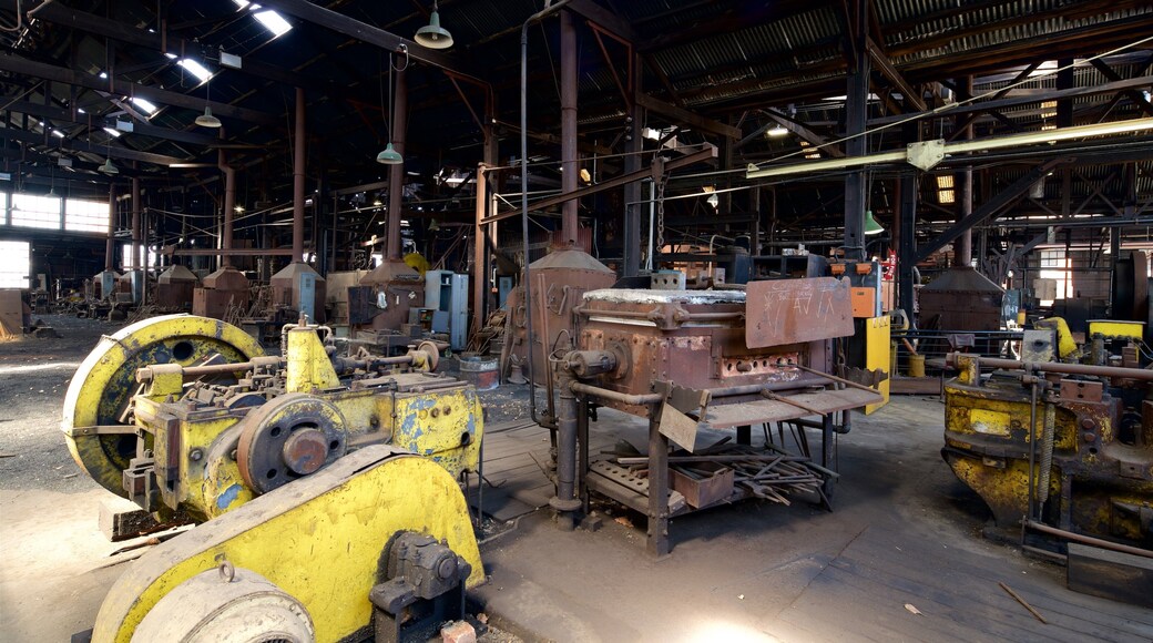 Queen Victoria Museum mettant en vedette patrimoine historique et vues intérieures