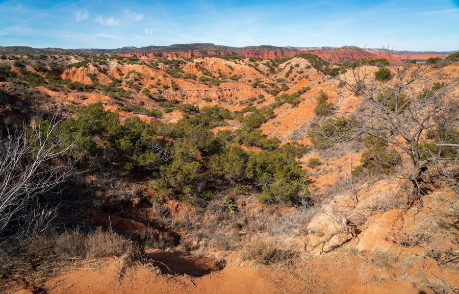 Caprock Canyons State Park, Texas
