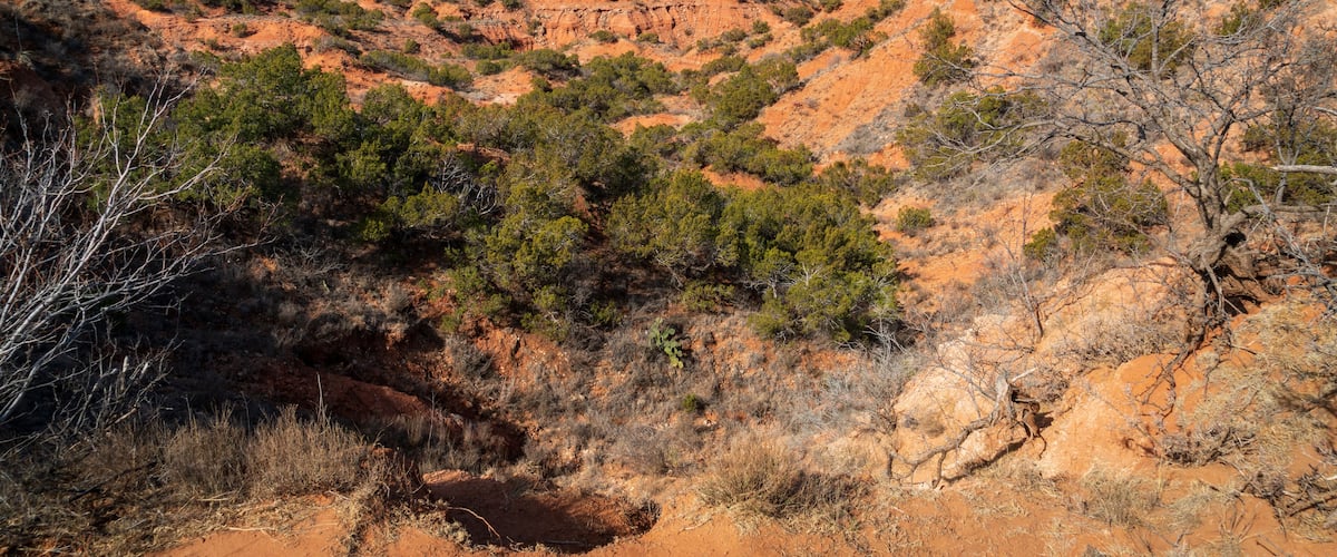Caprock Canyons State Park, Texas