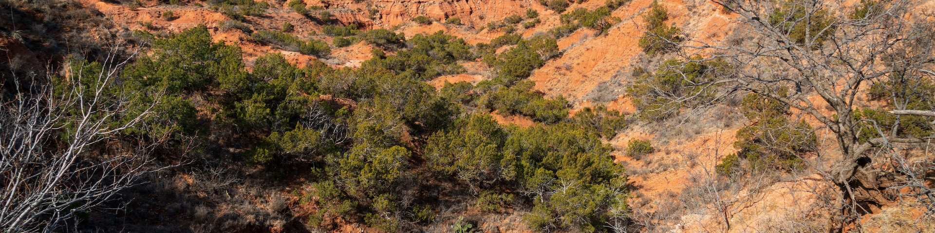 A rugged desert landscape with reddish-brown hills, sparse green vegetation, and a clear blue sky.