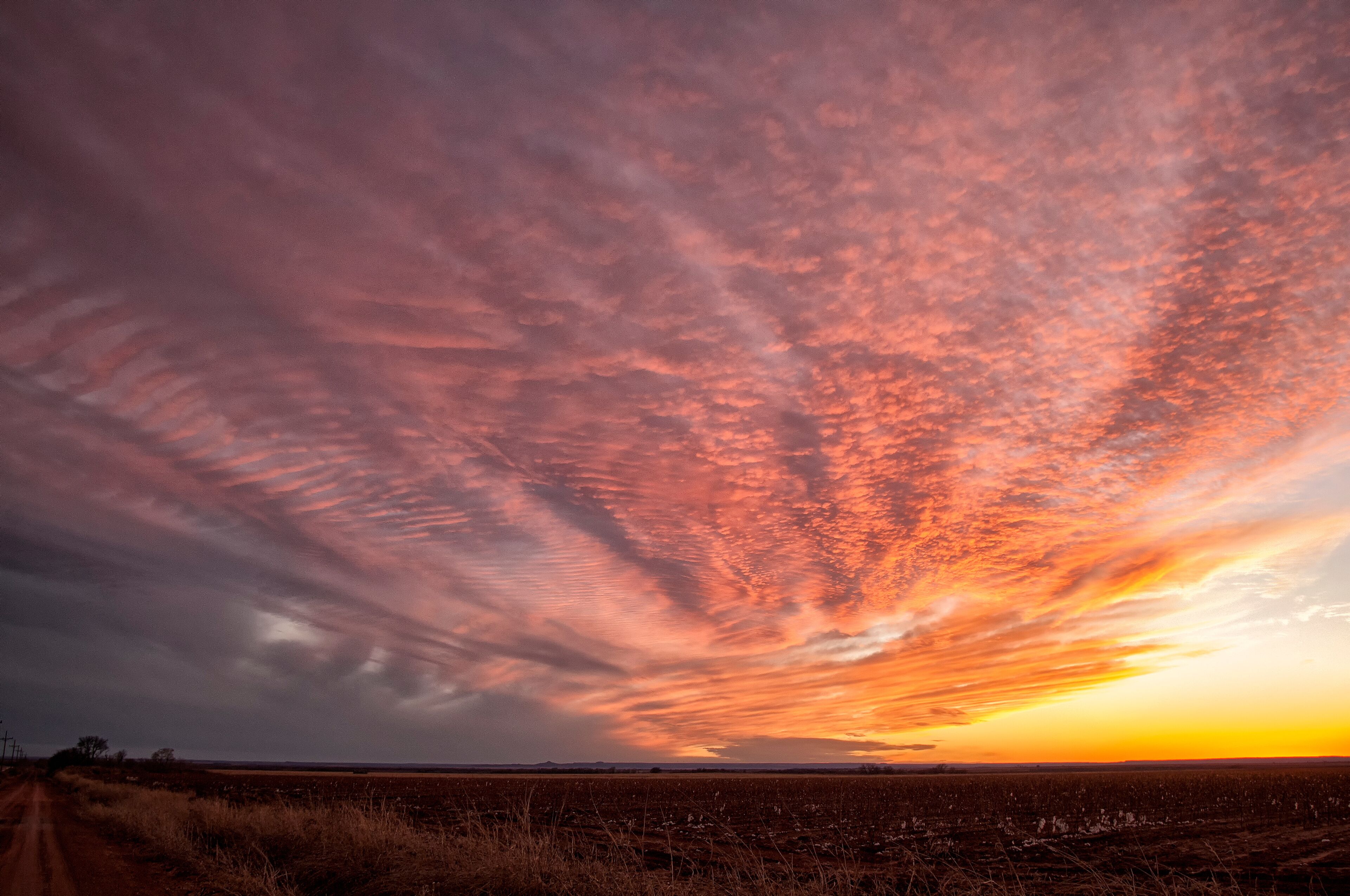 Sunset on the High Plains;  near Canyon, Texas