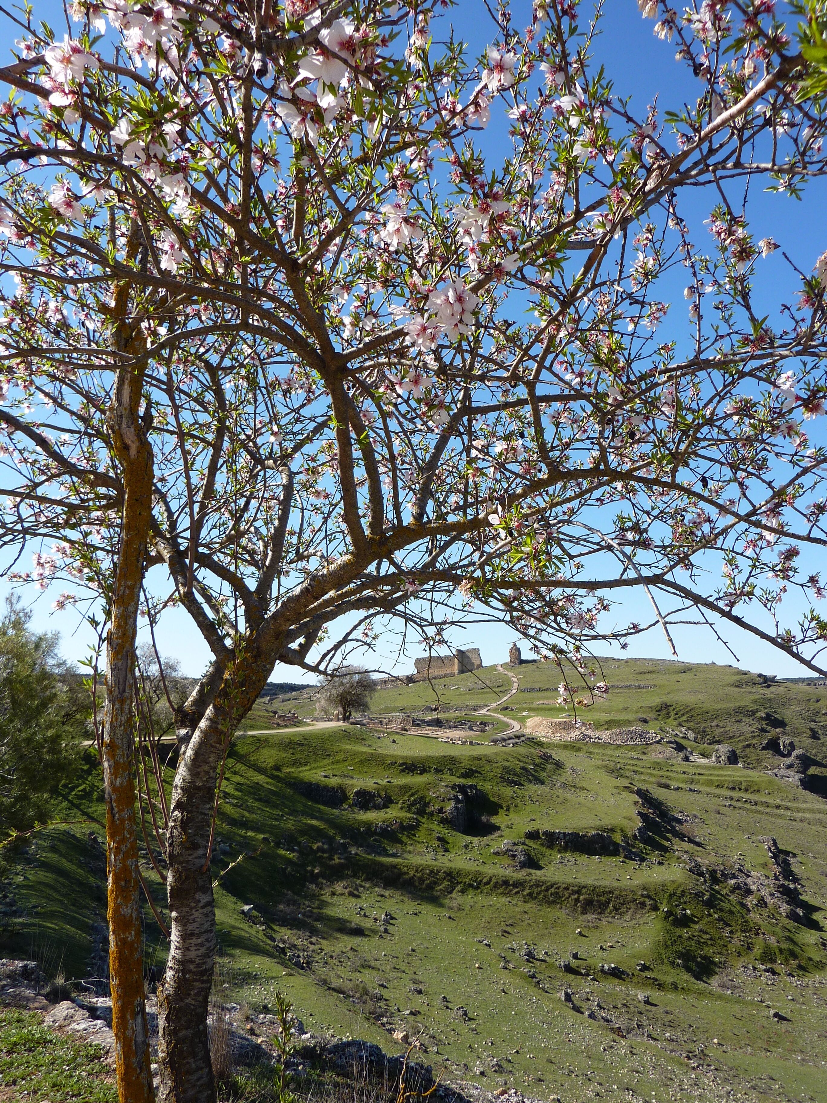 This is a photography of a Site of Community Importance in Spain with the ID: