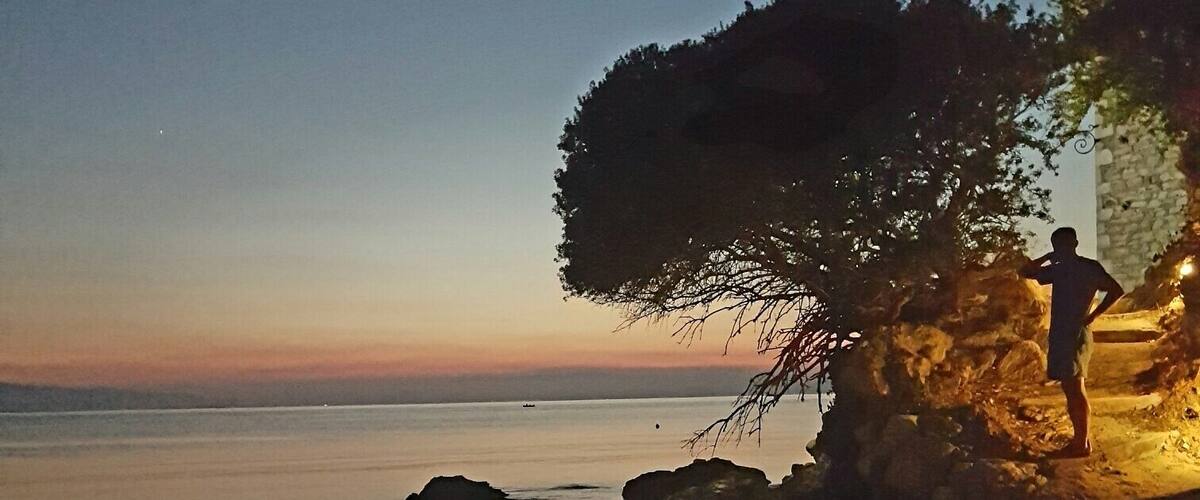 A coastal scene at dusk with a person standing near a tree and rocky outcrops.