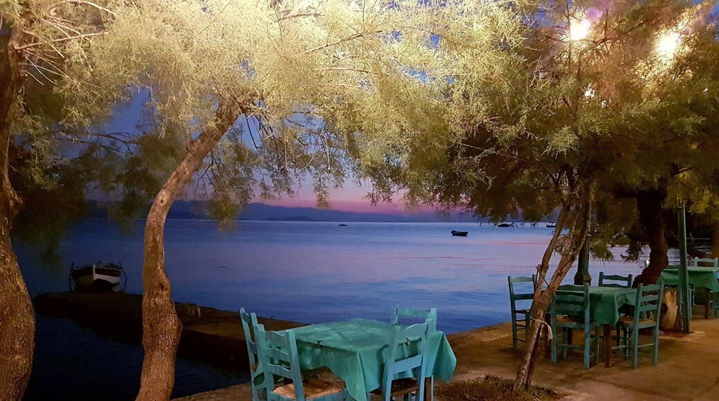 Beautiful restorant near the sea. Perfect place for romantic dinner.