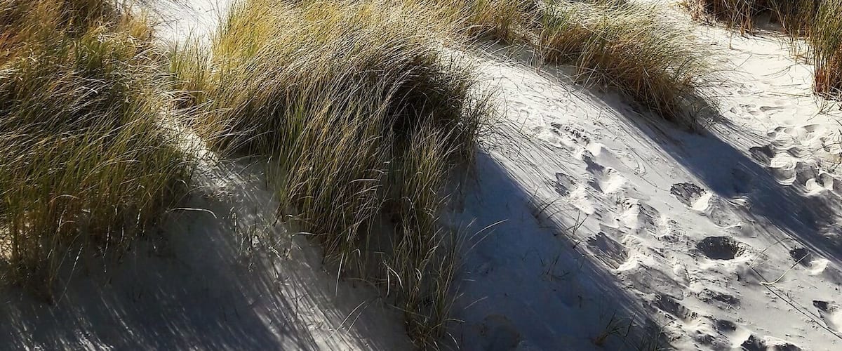 Maghera Strand - riesige Dünen, einsamer Strand, blaues Wasser - traumhaft!
Maghera Beach - amazing dunes, lonely beach, great water - such a beautiful place! #beachtips