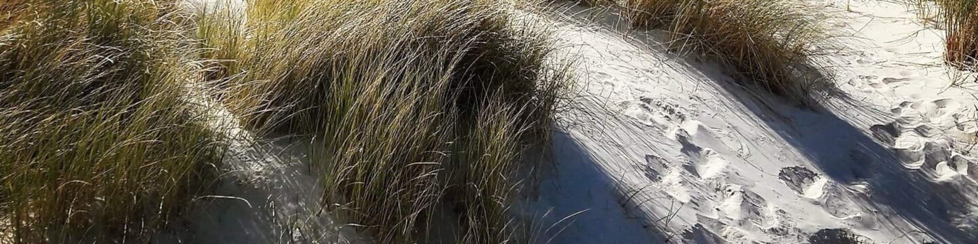 Maghera Strand - riesige Dünen, einsamer Strand, blaues Wasser - traumhaft!
Maghera Beach - amazing dunes, lonely beach, great water - such a beautiful place! #beachtips
