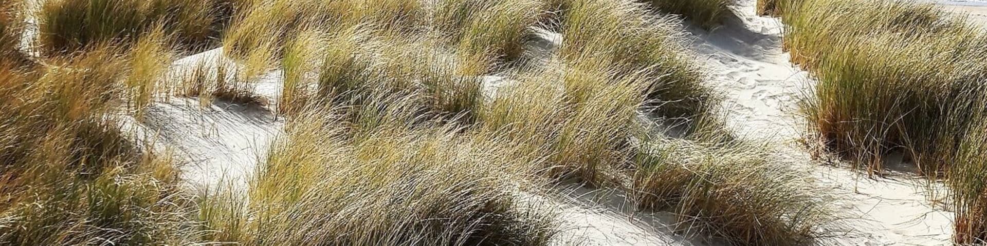 Maghera Strand - riesige Dünen, einsamer Strand, blaues Wasser - traumhaft!
Maghera Beach - amazing dunes, lonely beach, great water - such a beautiful place! #beachtips