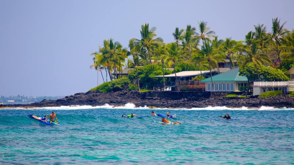Kahalu\'u Beach Park featuring tropical scenes, surfing and a coastal town
