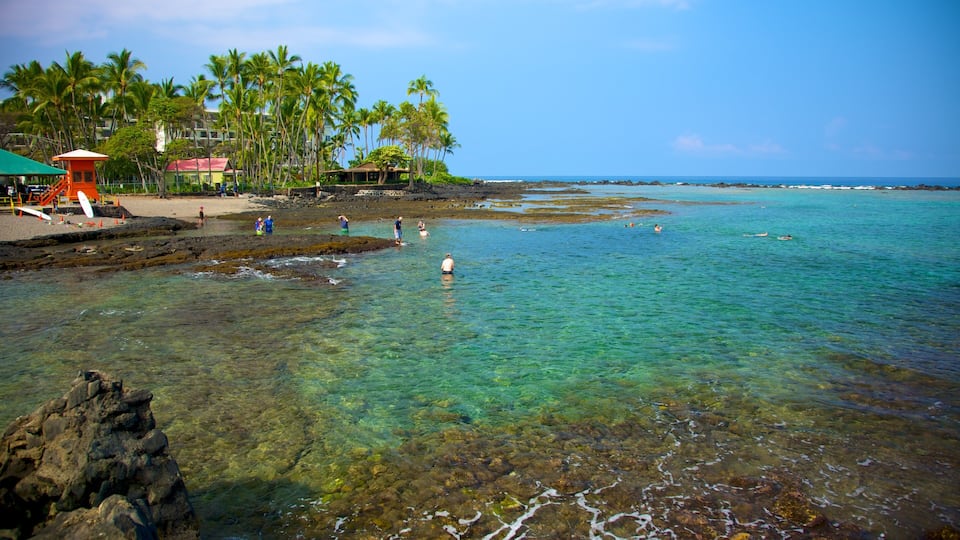 Kahalu\'u Beach Park showing general coastal views and tropical scenes