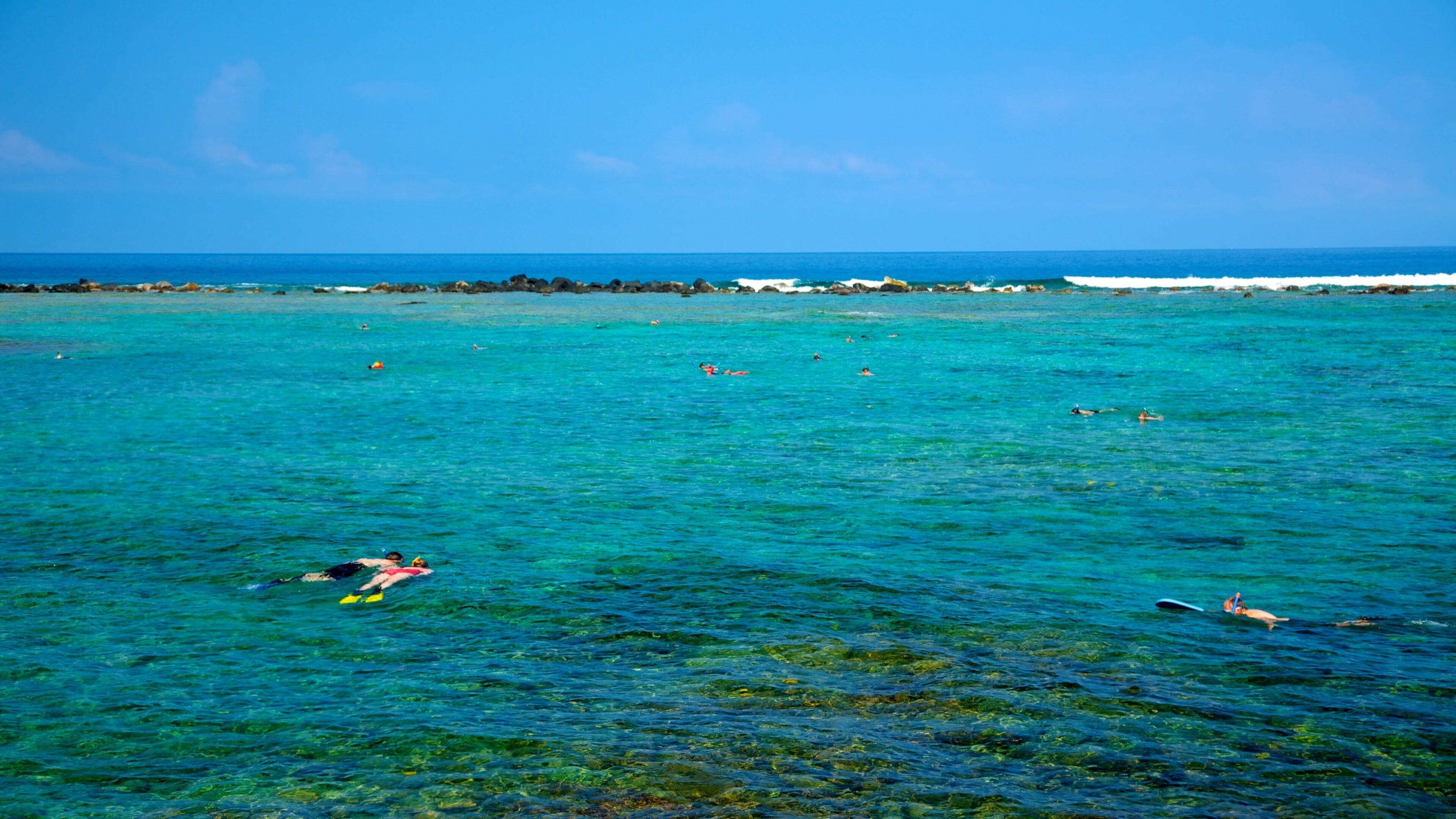 Kahalu\'u Beach Park montrant panoramas, récifs colorés et plongée au tuba