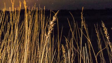 Tried something different than the usual Milky way shot.
#BvSAstro