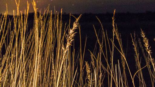 Tried something different than the usual Milky way shot.
#BvSAstro