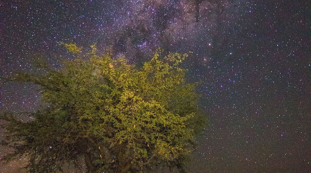 Milky Way rising over the Kalahari Desert in Namibia.
#BvSAstro