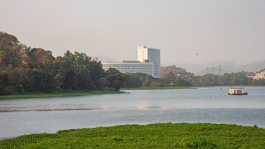 Powai Lake showing a river or creek