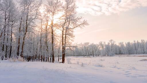Lac La Biche