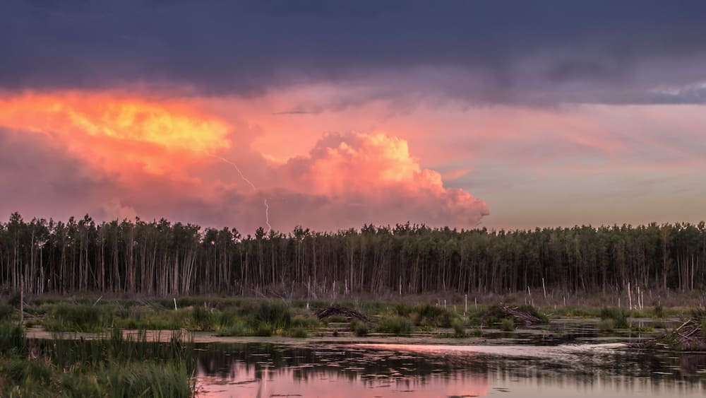 Ein Sonnenuntergang über einem Wald mit einem stillen See, der den Himmel spiegelt.