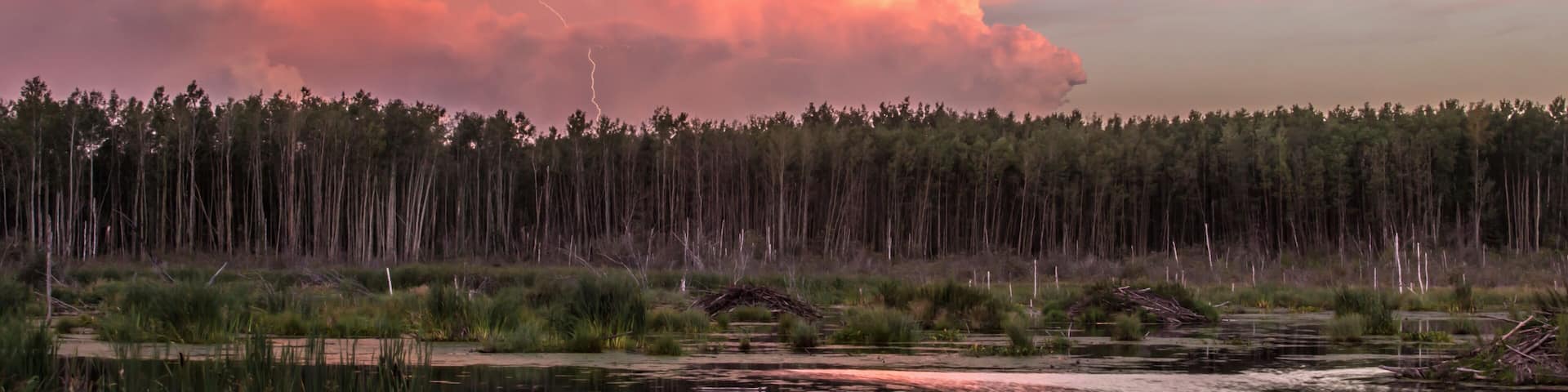 A sunset over a forest with a calm lake reflecting the sky.