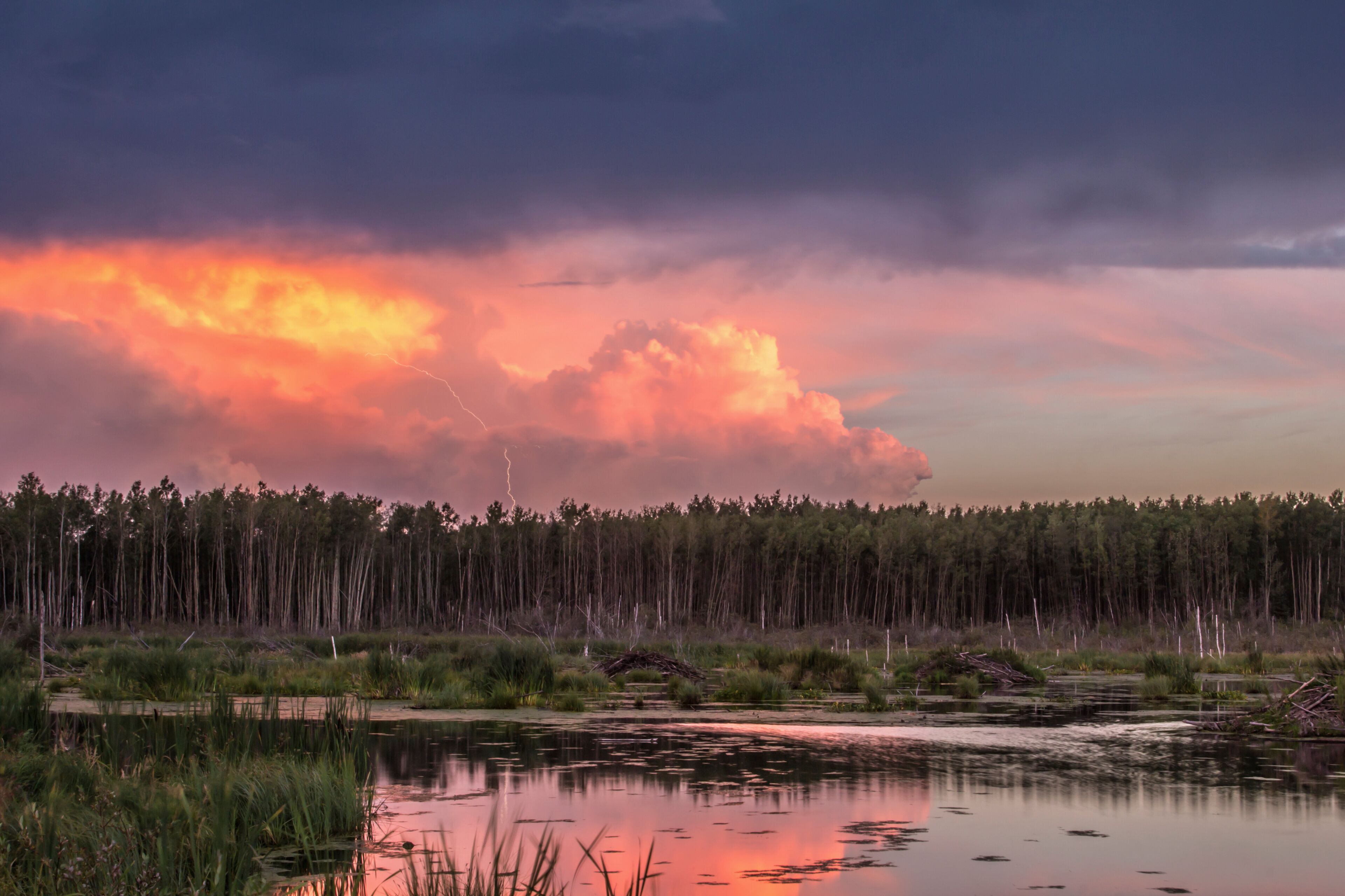 A sunset over a forest with a calm lake reflecting the sky.