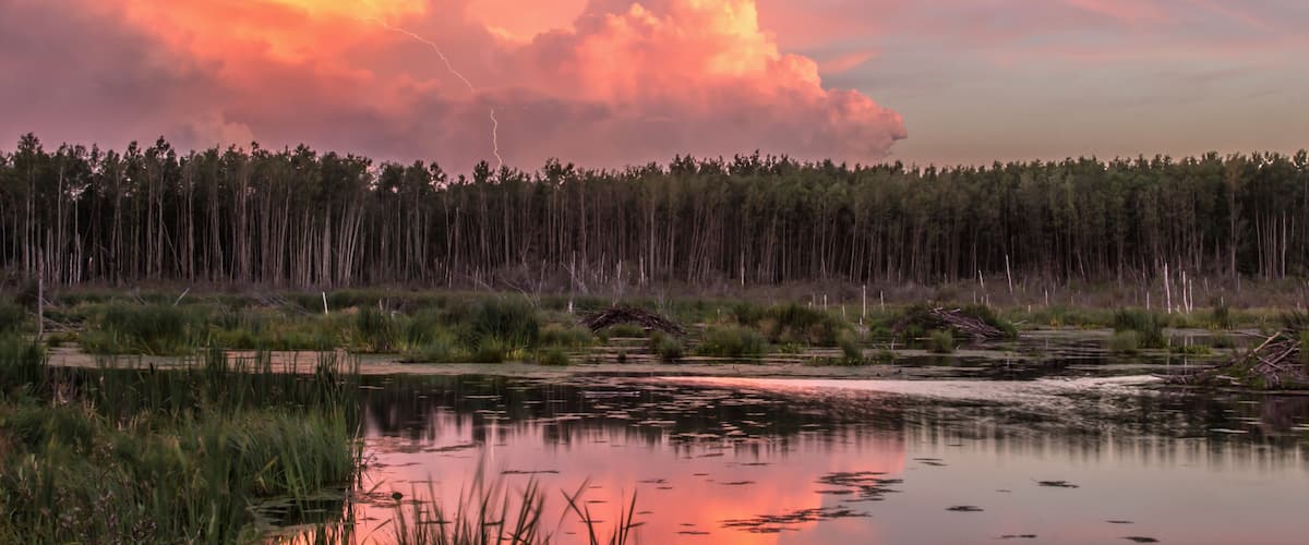 A sunset over a forest with a calm lake reflecting the sky.