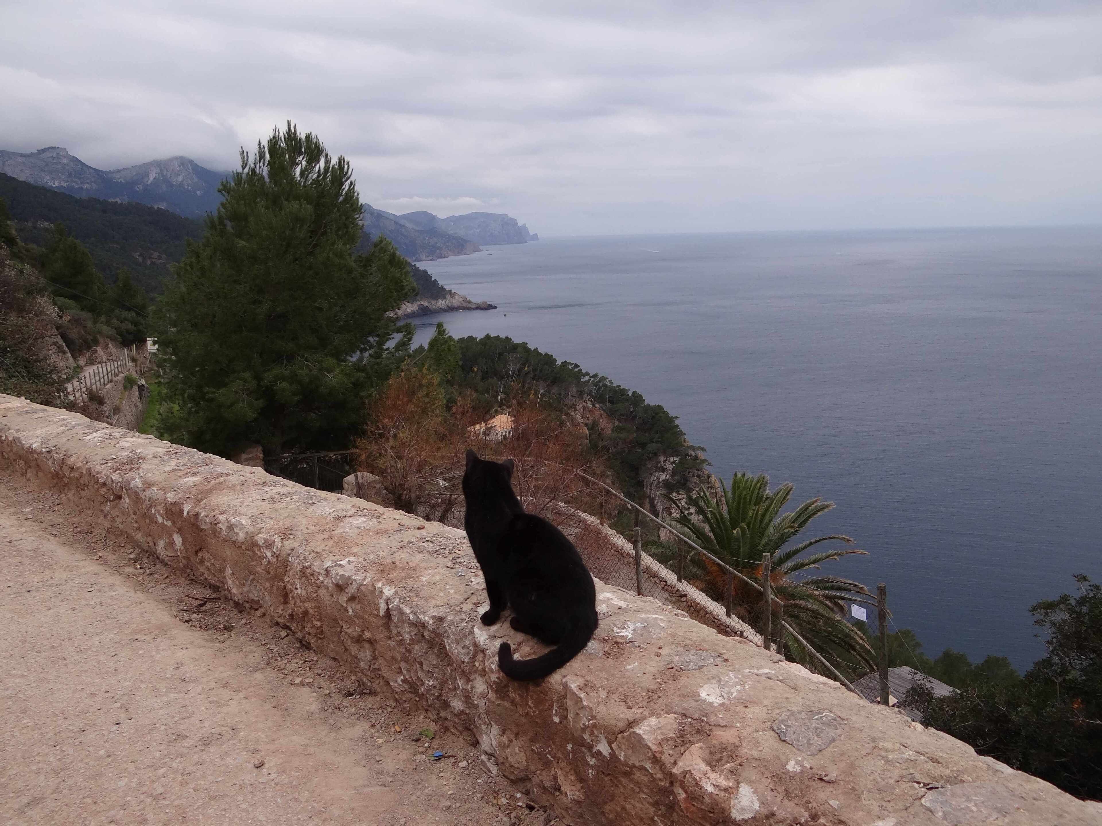 Banyalbufar, Balearic Islands, Spain