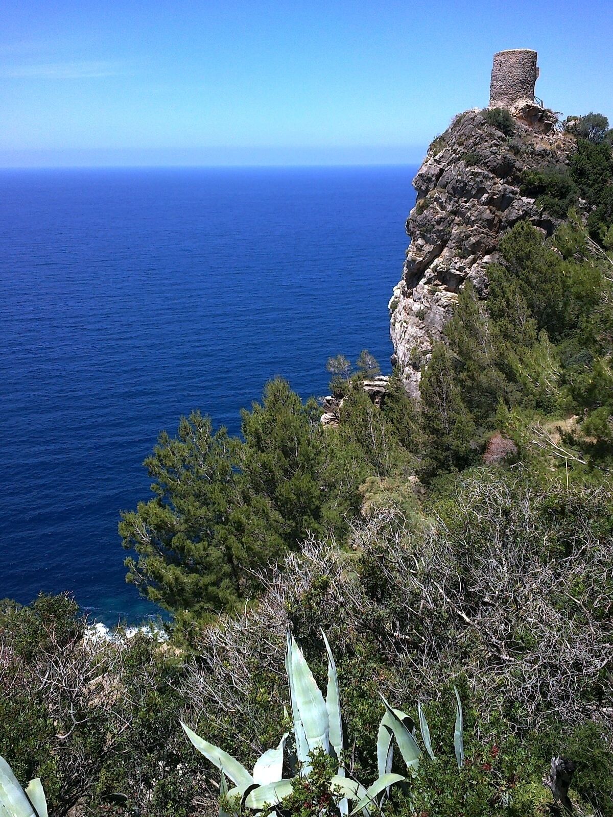 A coastal landscape with a rocky cliff, dense vegetation, and a clear view of the ocean.