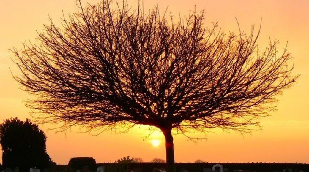 Highworth cemetery at the winter solstice The shortest day of the year in the northern hemisphere falls between the 20th and 23rd December depending on the year. In 2007 the solstice occurred on the 22nd with the period between sunrise and sunset being 7 hours 49 minutes and 40 seconds. The sun set in London at 15.54 today, 22 minutes after this picture was taken.