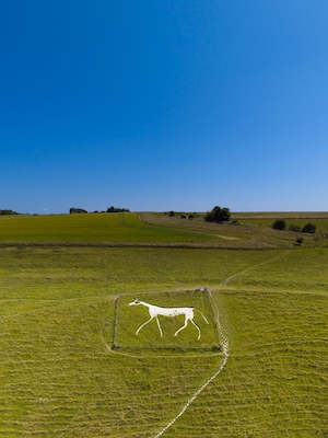 Ein weites, grünes Feld mit einer weißen, bemalteten Tierfigur in der Mitte.