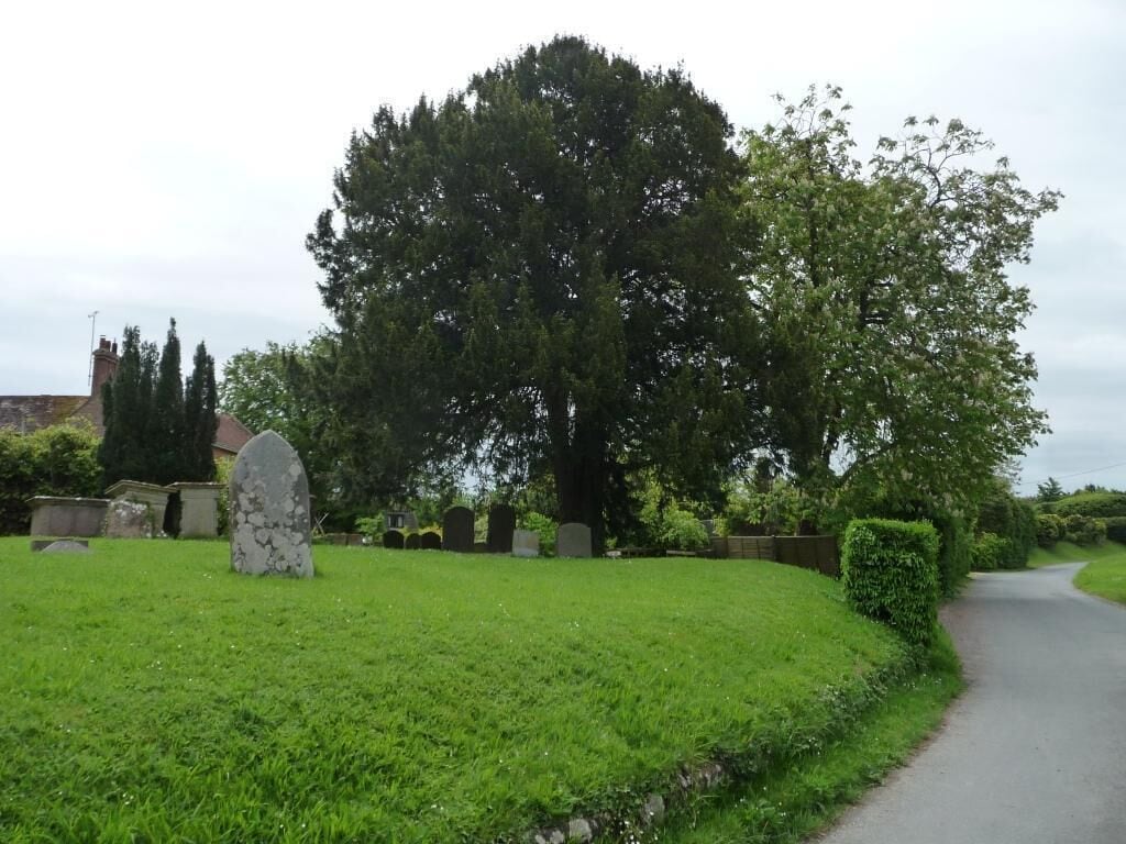 Southern end of St Peter's churchyard