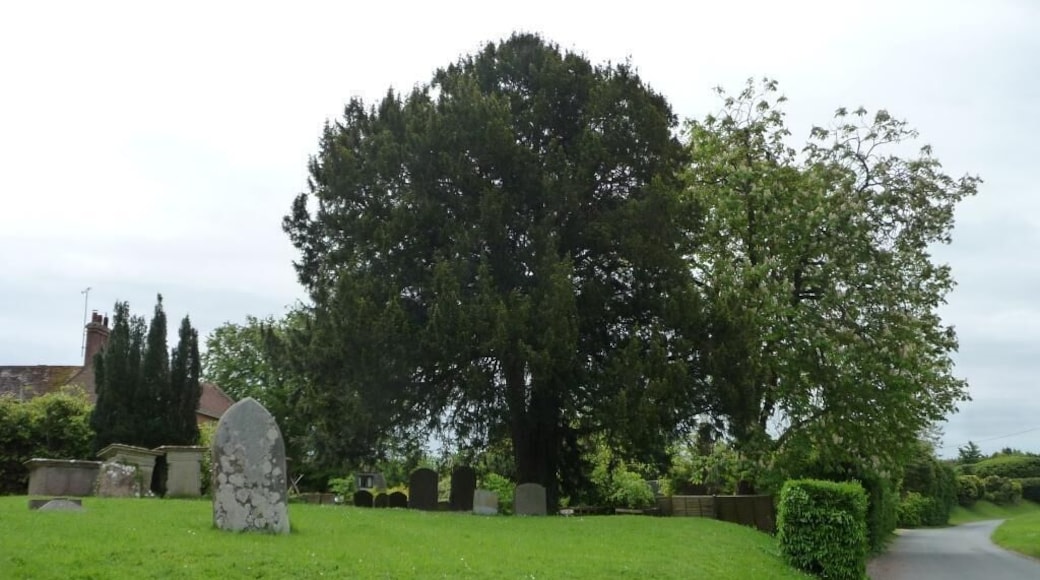 Southern end of St Peter's churchyard